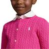 Polo Ralph Lauren Kids FW23 однотонный вязаный свитер с длинными рукавами, детский свитер фиолетово-красного цвета 313543047-050