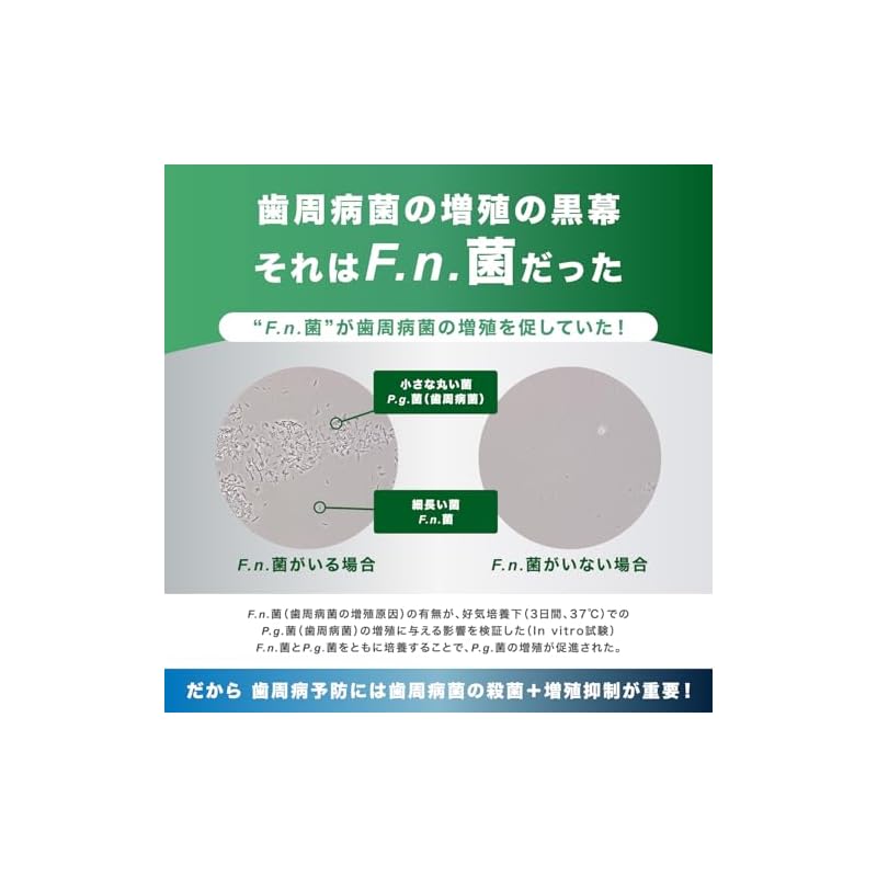 [Зубная паста GUM Plus (Тип «Освежающая мята») 120 г x 2 + Бонусный товар] [Квази-лекарственное средство]
