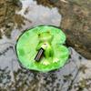 1pc Hilariously Adorable Frog On For Lotus Leaf Resin Statue with Beer Bottle Outdoor Garden Decoration Ponds Planters Decor