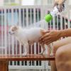 2Pcs Quick Washing Pet Shower Heads Silicone Cat Cleaning Sprayer Dog Bath Faucet  Outdoor