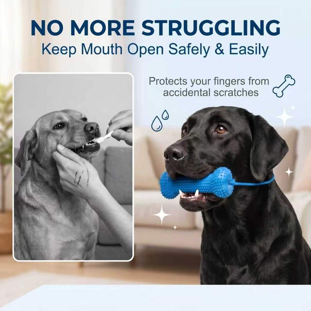 Prevents Tooth Decay Dual-Action Canine Dental Prop Dog Toothbrushing Toy  for Medium Small Dogs