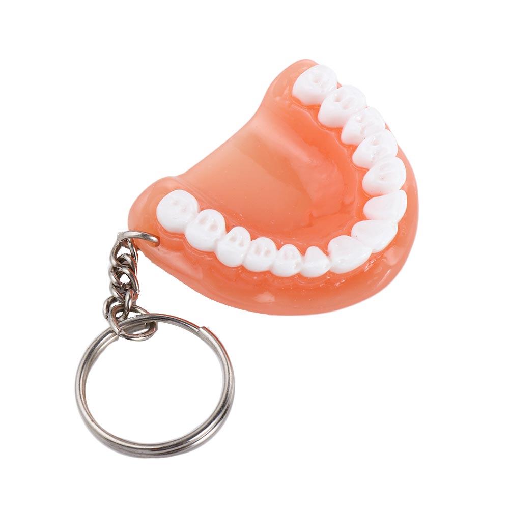 Resin Upper Jaw Teeth Shape Teeth Keyring Teeth Pendant Tooth Key Chain Denture Key Chain