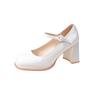 High Heels Women's 2024 Spring and Autumn New French Square Head Mary Jane Women's Shoes Design Sense Niche Temperament Thick Heel Single Shoes