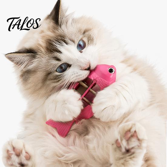 Catnip Toy Silvervine Cat Toy, Natural Fishbone Shape Chew Kitten Teething for Indoor Cats Enrichment Teeth Cleaning Boredom Relief