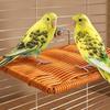 Wear Resistant Jumping Platform Bite Resistant Parrot Cage Stand Bird Resting Platform  Training