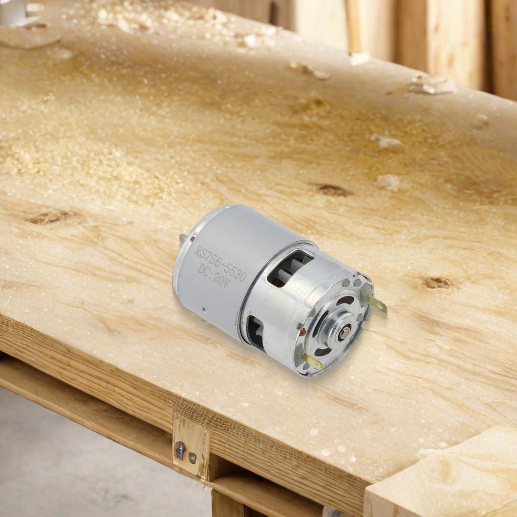 20V D-Shaped Shaft Small Motor Lithium Electric Lawn Motor 20V RS775 Motor