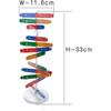 DNA Kit Self Double Helix Model kit Assembling DNA Display Stand Double Helix Model Human Genes Learning Toy Biological Teaching DNA Helix Model Aid
