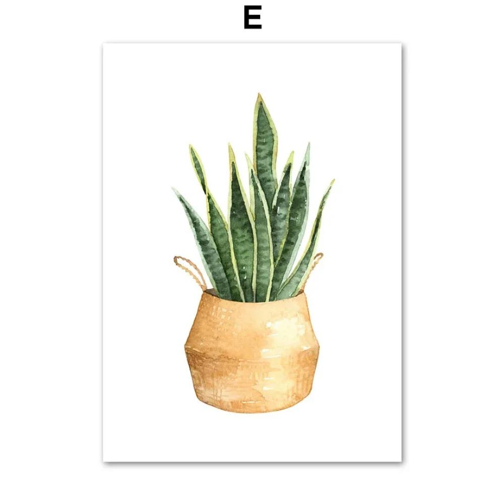 Green Plants Wall Art Canvas Painting Cactus Tiger Pilan Monstera Posters And Prints Wall Pictures For Living Room Decor