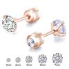 1Pc Stainless Steel Double Zircon Korean Earrings Women Screw Ear Stud