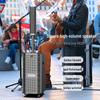 Уличная колонка на колесиках W-King K20Plus (Китайская версия)