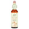 Original Flower Therapy, Rock Rose, 20Ml(0.7Fl Oz)