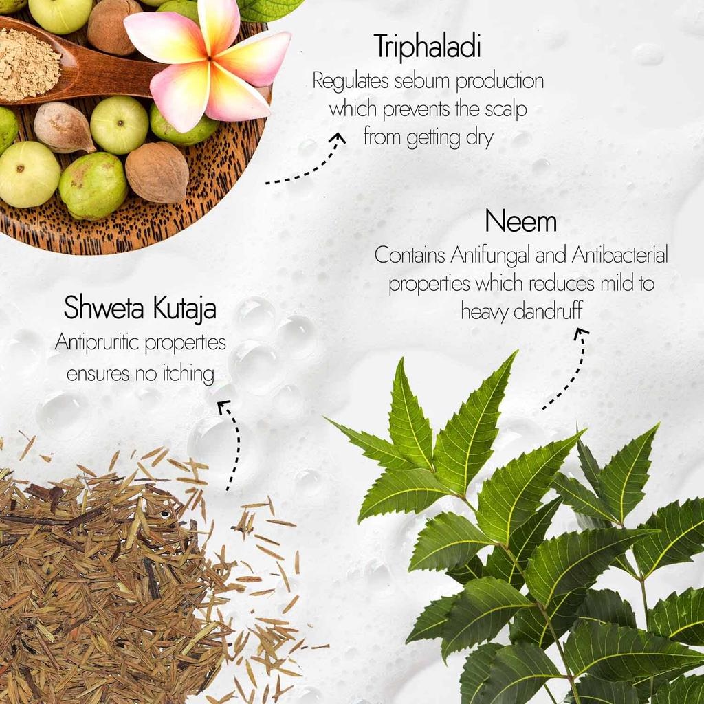 Kapiva Шампунь Dandruff Control Neem Triphaladi 250 мл для здоровья кожи головы и укрепления волос