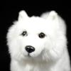Simulation Samoyed Plush Toy Realistic Standing White Samoyed Pet Dog Stuffed Cute Dog Puppy Model Unique Plush Gift Collection for Kids Home -