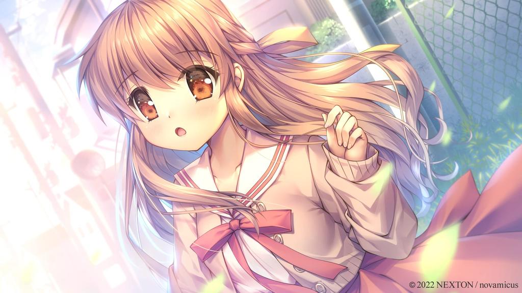 Мемориальный КОРОБКА недавно разыграна B2 ONE. [с гобеленом]