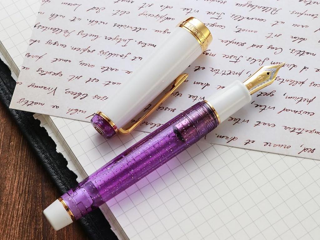 WANCHER SAILOR Original Professional Gear PURPLE RAIN Fountain 21k Gold Pen, (Medium Nib)