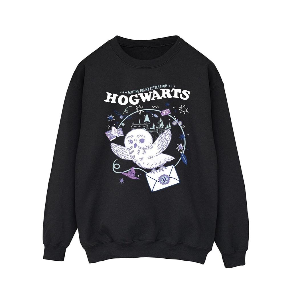 Harry Potter Mens Owl Letter From Hogwarts Sweatshirt