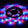 5 м 300 светодиодов DC12V RGB 3528 SMD Автомобильная внедорожная светящаяся атмосферная лампа-лента водонепроницаемая