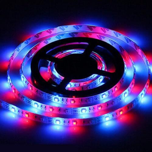 5 м 300 светодиодов DC12V RGB 3528 SMD Автомобильная внедорожная светящаяся атмосферная лампа-лента водонепроницаемая