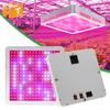 LED Grow Light 2000W with Switch Quantum Panel Full Spectrum Phytolamp For Plants Greenhouse Hydroponics