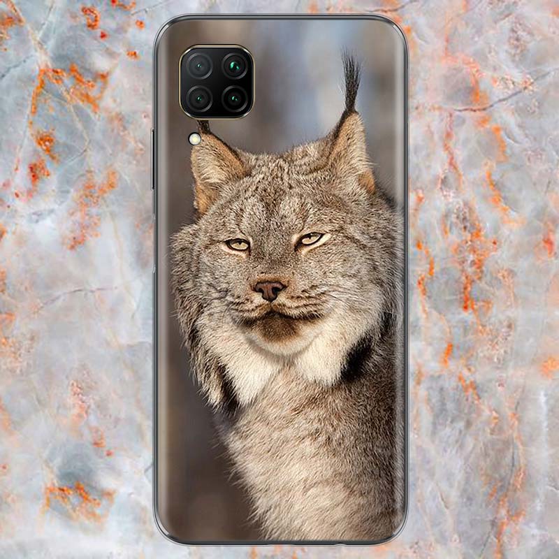 Милый чехол для телефона с милой канадской рысью для Huawei Mate 40 30 20 20X 10 RS P Smart 2021 2020 ZS Pro Plus Lite 2019