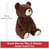 GUND Finley Bear 6055962