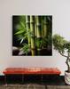 Canvas Print, Oriental Zen Bamboo
