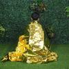 Outdoor Survival Blanket Windproof Tent 2024 Gold Foil Blanket