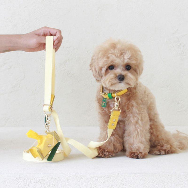 MAISON DE MIU Персональный Цветной Поводок Желтый