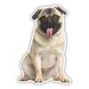 B0689# Self-adhesive Decal Pug Dog Car Sticker Waterproof Auto Decors On Bumper Rear Window Motorcycle Laptop Helmet