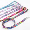 A Pet Leash Cartoon Print Colorful Braided Leash Outdoor Dog Walking Rope