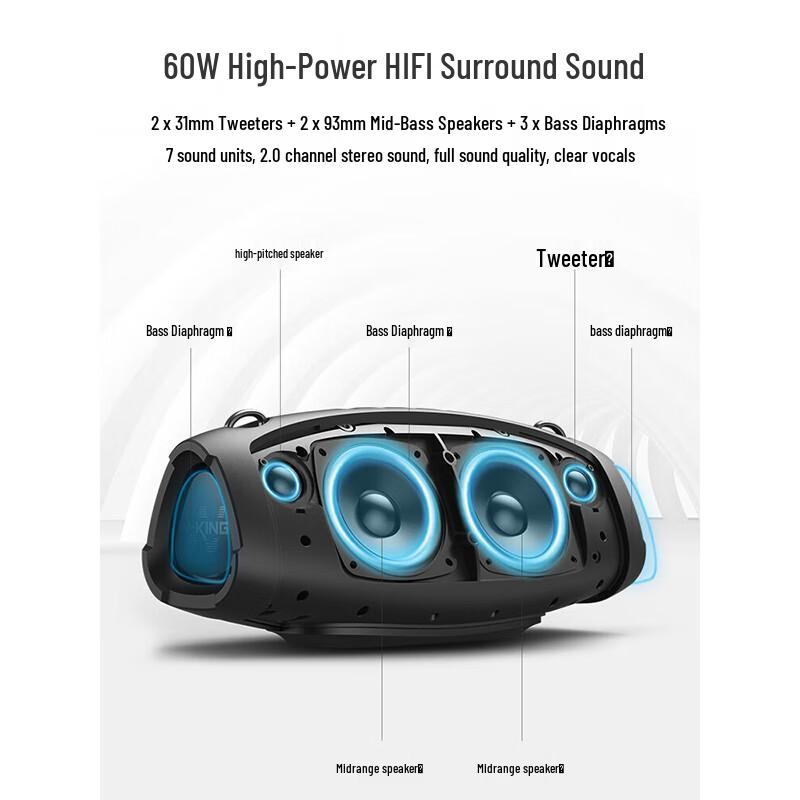 W-King D10+ Portable Bluetooth KTV Speaker