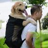 Рюкзак-переноска для собаки, Дышащая сетчатая передняя часть, Рюкзак для пеших прогулок, Велосипеда, Мотоцикла, Легкая сумка для питомца для путешествий на открытом воздухе