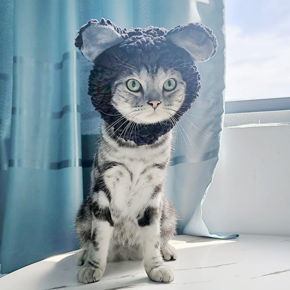 Soft Pet Hat Cute Dog Hat Pet Decorative Hat Cat Hat  Photo Taking