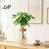 Hydroponic Growing Planter Clear Planter Glass-Like Plastic Vase with Lid Office Desk Accessories Plant Propagation Station for Home Decor