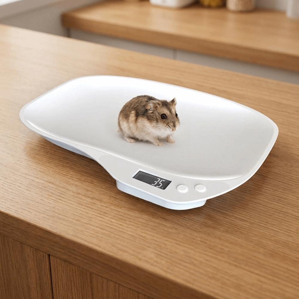 LCD Display Pet Electronic Scale High Precision Small Animal Scale Kitchen Scale Pet Weighing