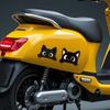 Peek-a-Boo PVC Decals Scratch Covering Funny Kitty Decals  Car Electric Motorcycle Stickers