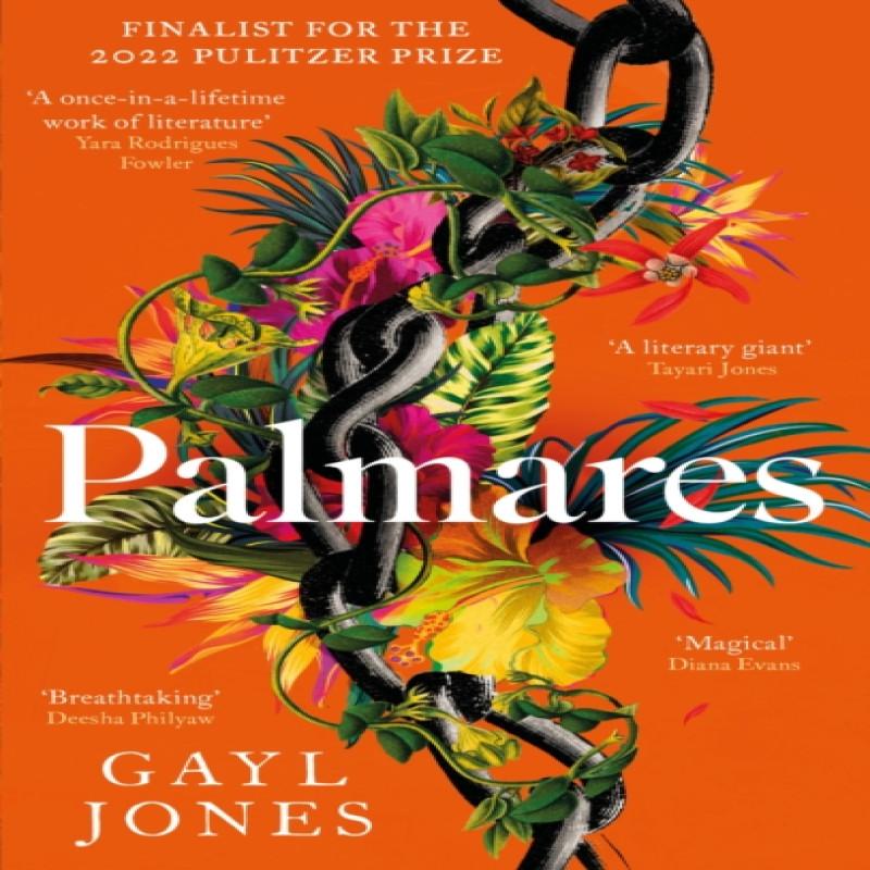 Palmares by Gayl Jones Paperback Book 9780349015248