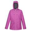 Womens/Ladies Bayletta Waterproof Jacket