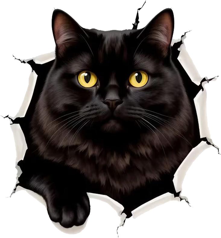 QT2170#15см Черный Кот с Желтыми Глазами, Выглядывающий из Рваной Дыры, Автонаклейка для Ноутбука, Грузовика, Телефона, Мотоцикла, Окна