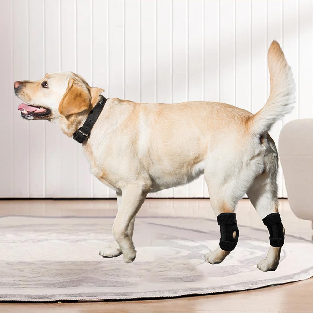 Поддержка скакательного сустава собаки Канинская Задняя Травма Восстановление Фиксация Поддержка Ноги Бандаж Облегчение Боли Наколенники для Собаки Наколенник Поддержка Сустава Обертывание Домашний Питомец Восстановление
