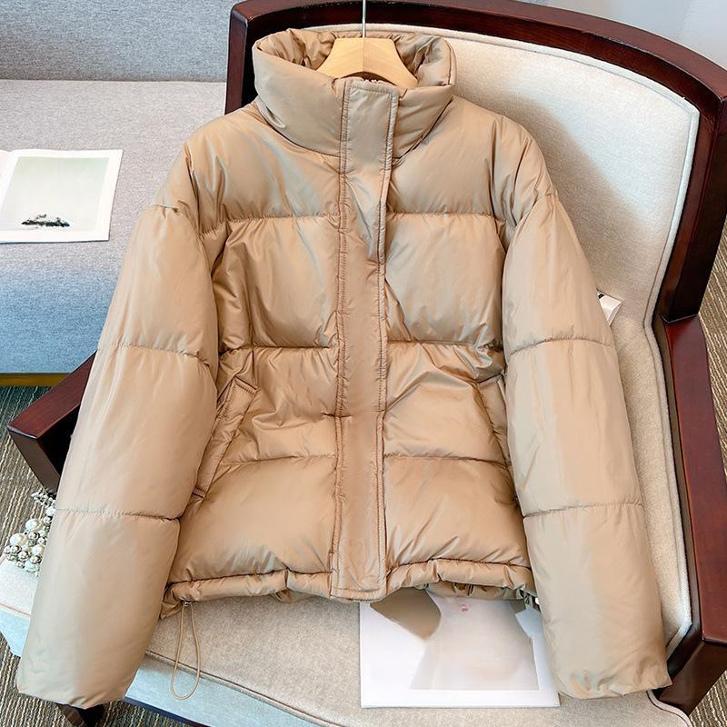 Short Collar Down Coat Jacket Coat Women 2023 Thick Warm Autumn and Winter