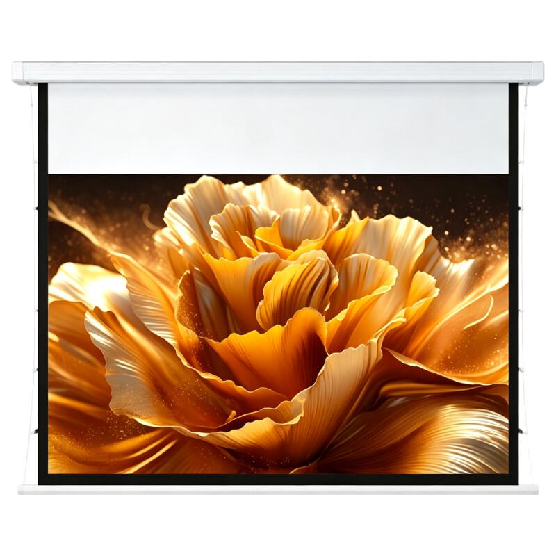 IN&VI 120-Inch Fresnel Electric Projector Screen