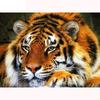 Diamond Embroidery Tiger Diamond Painting Animal Picture of Rhinestone Diamond Mosaic Pattern Crafts