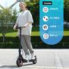 iScooter i9 Foldable Electric Scooter 350W Motor 36V7.5Ah Battery Max Speed 30km/h 8.5 Inch Honeycomb Tire