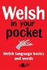 Книга Welsh In Your Pocket : 1