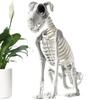 Halloween Dog Skeleton Decoration Spooky Skeleton Animal Puppy Bones Skeleton Decoration for Halloween Indoor Outdoor