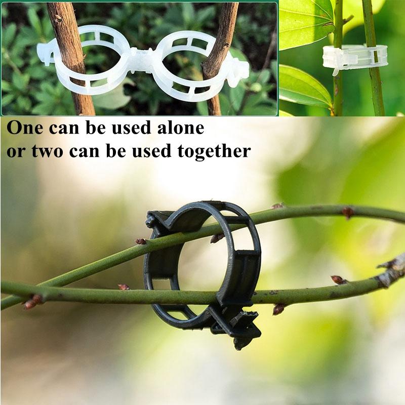 50-200 шт. зажимы для связывания растений, многоразовые зажимы для защиты лоз овощей и томатов, зажимы для поддержки растений, садовые принадлежности