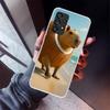 Italian Brainrot Animals Phone Case For Samsung Galaxy A52 A51 A50S A32 A22 A12 A02S A72 A71 A31 A70 A30S Note 20 Ultra 10 Plus