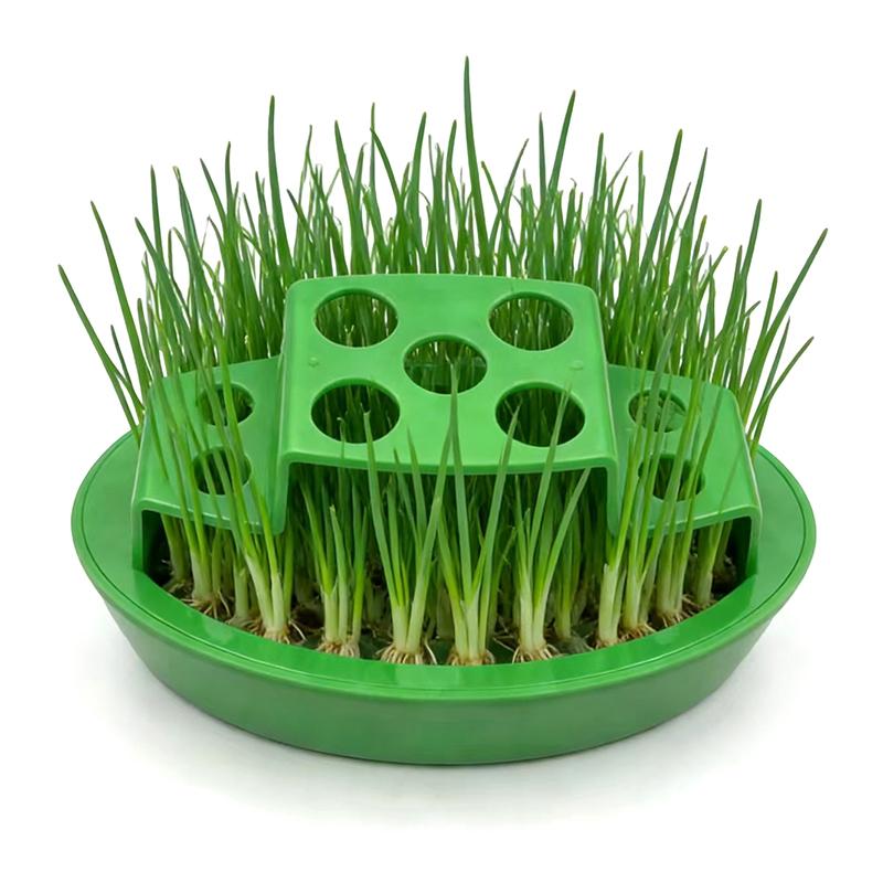 Компактный горшок для повторного выращивания зеленого лука Гидропонная станция для повторного выращивания на столешнице Съемный внутренний лоток и крышка Легкое выращивание на кухне