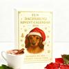 Dachshund Christmas Advent Calendar 2025 24 Days Countdown Acrylic Dachshund Ornaments Cute Dog Lovers Holiday Decor Keepsakes